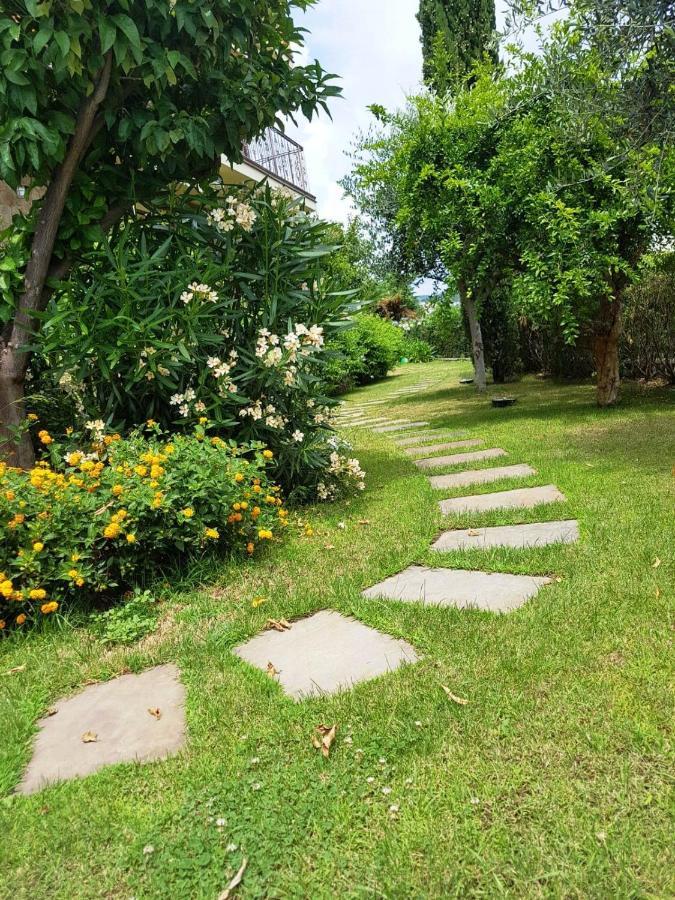 Villa Pineland 보르게토 산토 스피리토 외부 사진